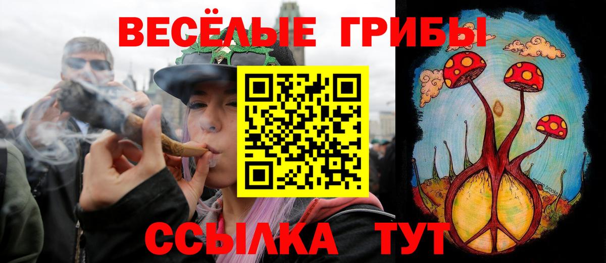Псилоцибиновые грибы прущие грибы Трёхгорный
